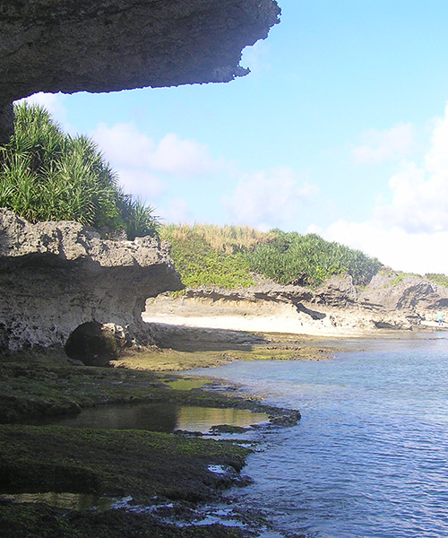 漁師船で島一周めぐり
